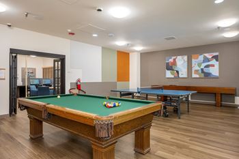 Pool table & ping pong table